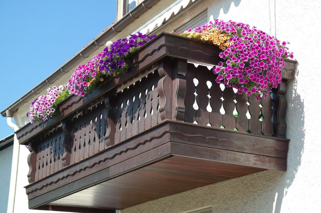Ампельные или каскадные петунии в оформлении балкона